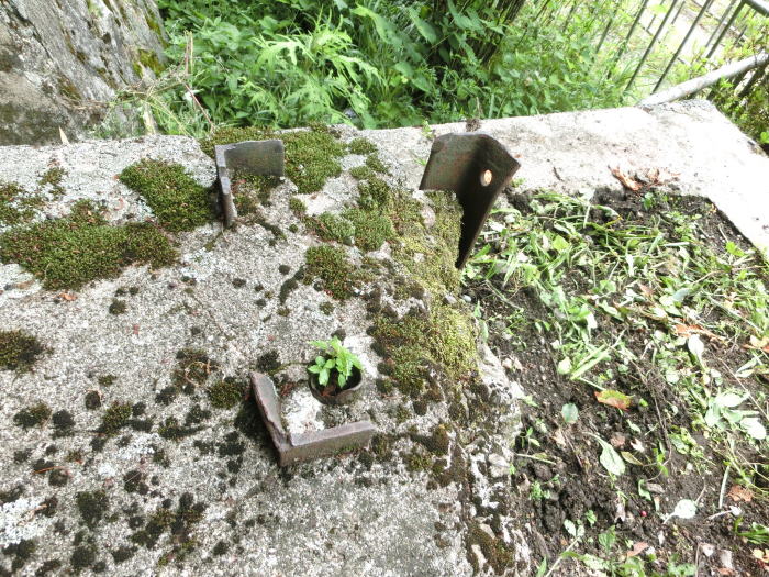 苔むした鉄柱跡