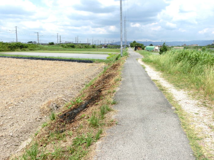 舗装されてサイクリング道となっている廃線跡