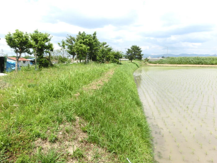 舗装が途切れて築堤だけになった廃線跡