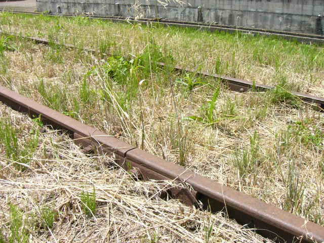 錆びてはいるがしっかりつながっている線路