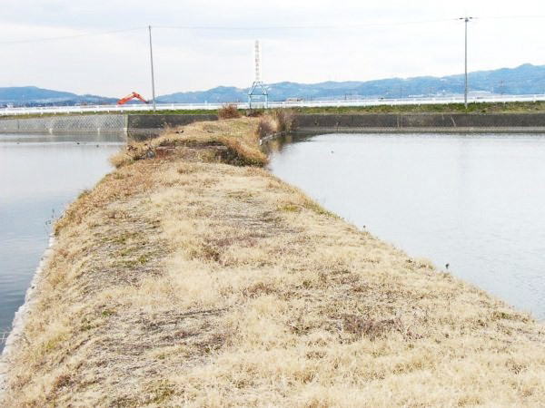 池を分断する廃線跡の築堤