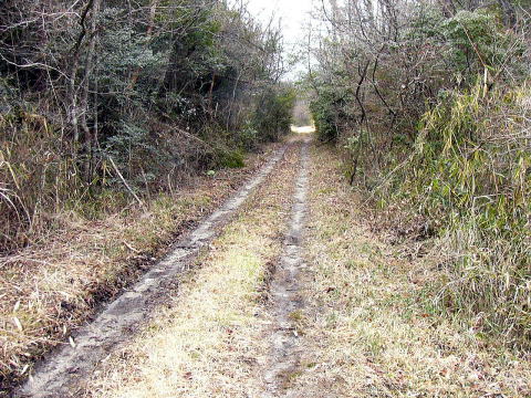 丘陵をまっすぐ進む道
