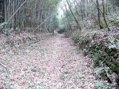 石を積み重ねた切通し