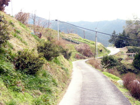 上古沢駅付近の線路跡