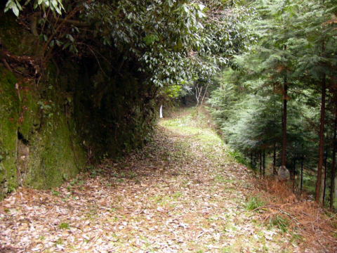 荒れ果てて分からなくなった線路跡