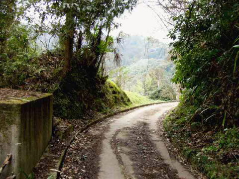 山のかたちに忠実にカーブしている線路跡