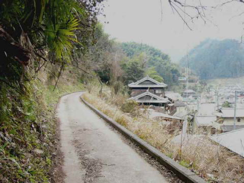 いい感じで続いている高野山森林鉄道の線路跡。
