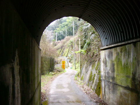 高野山森林鉄道の線路跡のトンネル