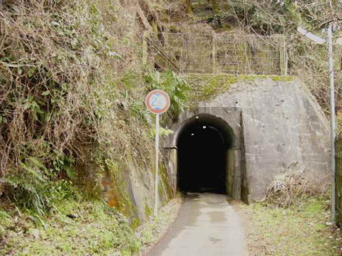 高野山森林鉄道の線路跡