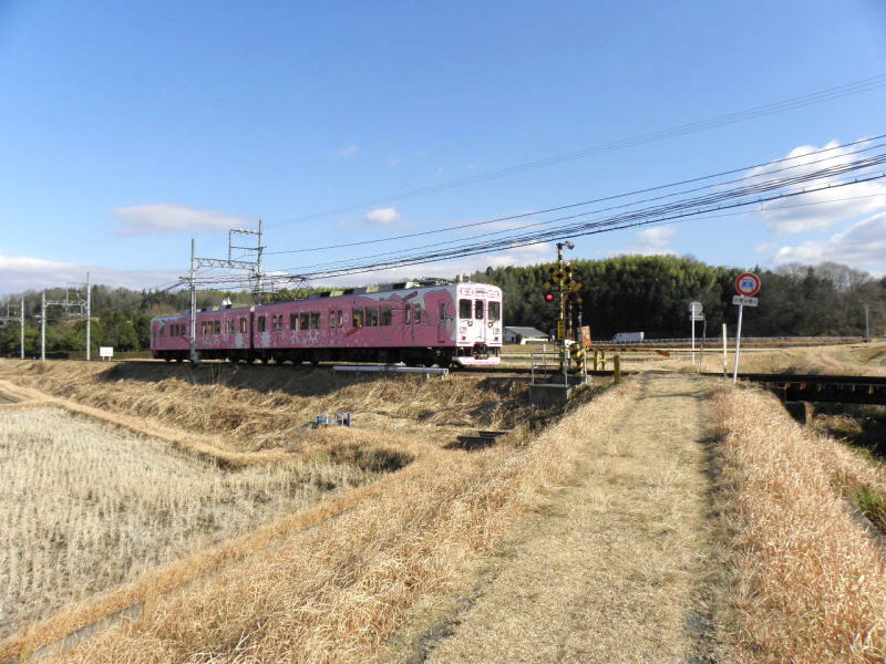 伊賀神戸行きピンクくノ一電車