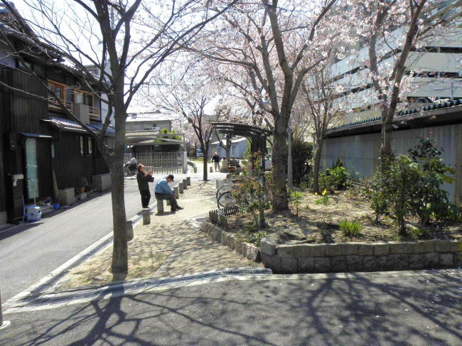 桜が植えられている廃線跡