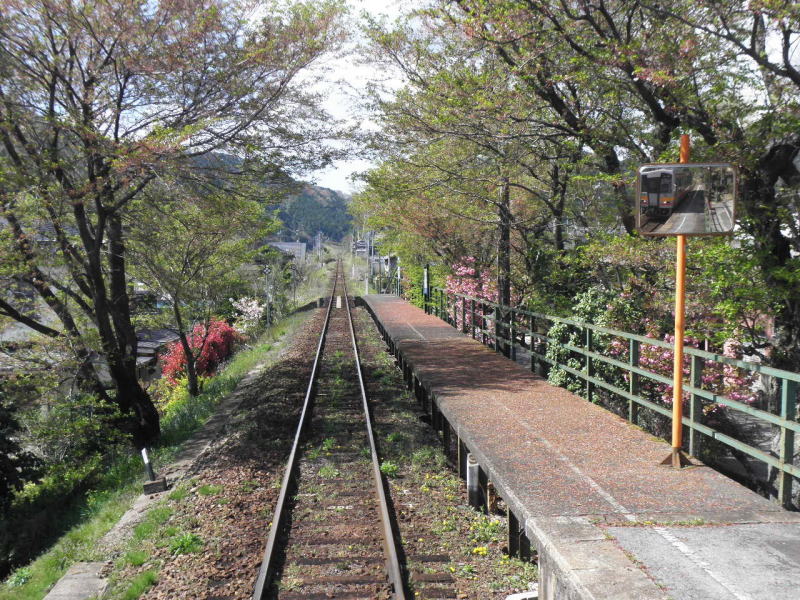 因美線三浦駅　桜が散ったところ。