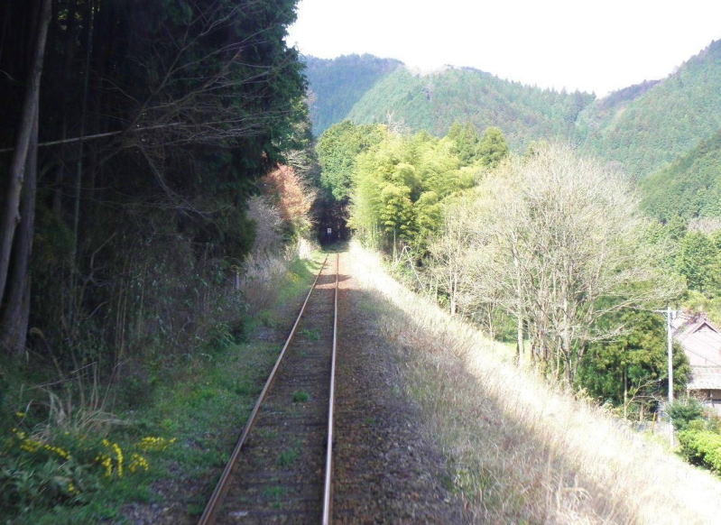 山の斜面にへばりつく因美線。