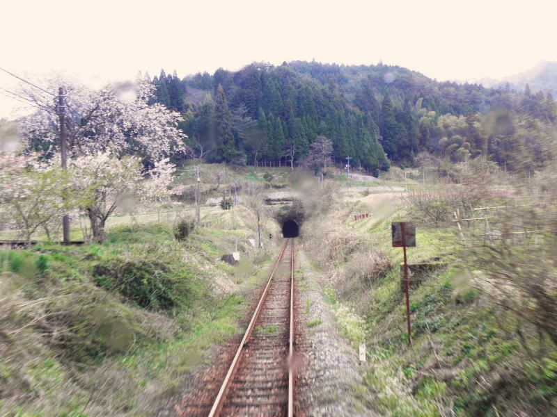 見えてきた物見トンネルの入り口