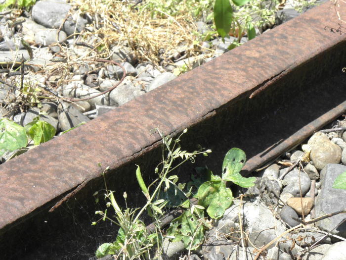 摩耗したレール