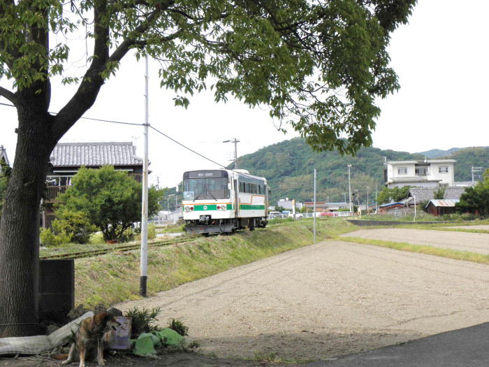 ワン公に吠えられながらキテツを見送る。