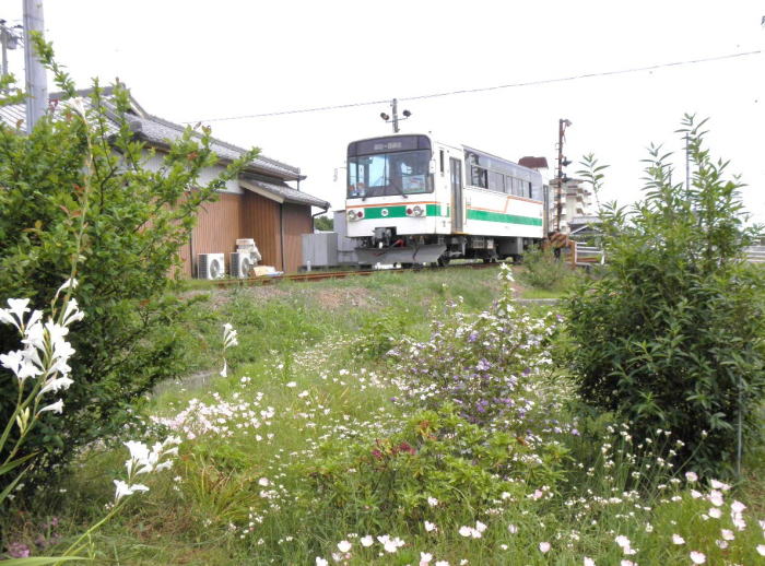 慌てて撮ったキテツ２