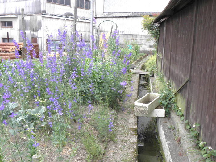 線路のようにカーブしている溝