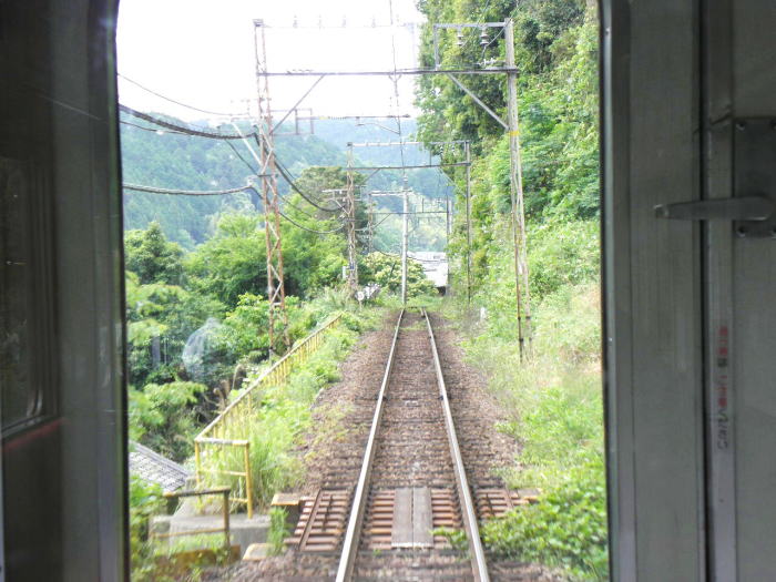 帰路。吉野線の緑豊かな沿線風景。