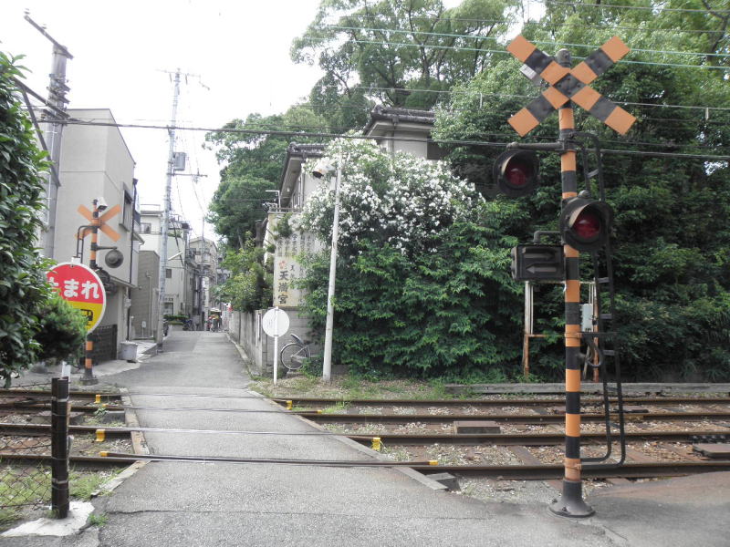 こんもりとした天神の森は天満宮の境内の森
