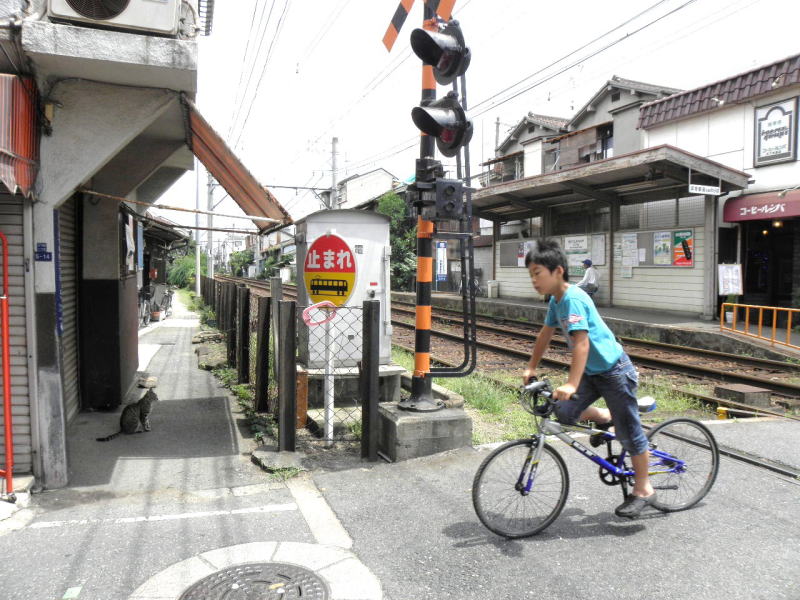 ネコが落ち着いて座っていられる北天下茶屋の線路端