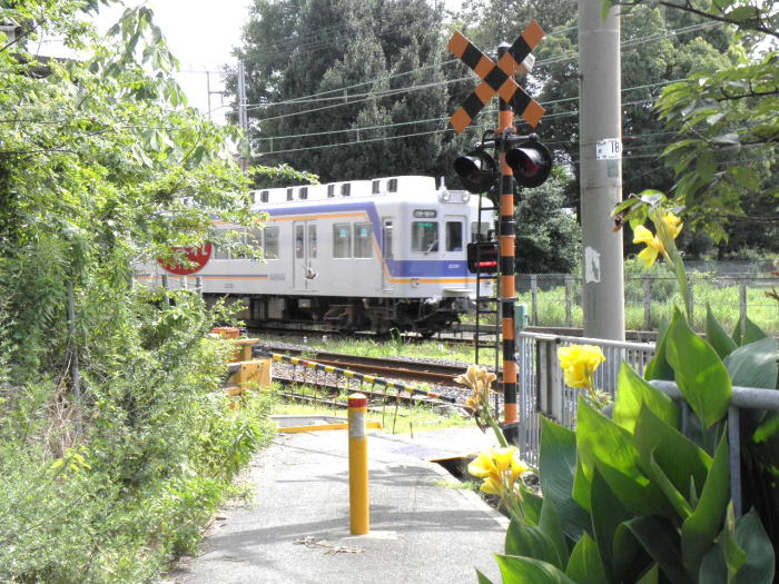 汐見橋から来た電車