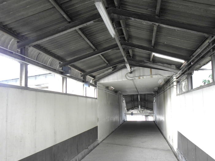 和歌山線ホームと改札口へ降りる通路。