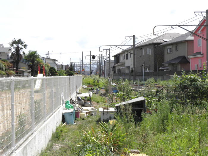 和歌山線の田井ノ瀬方向を見る。