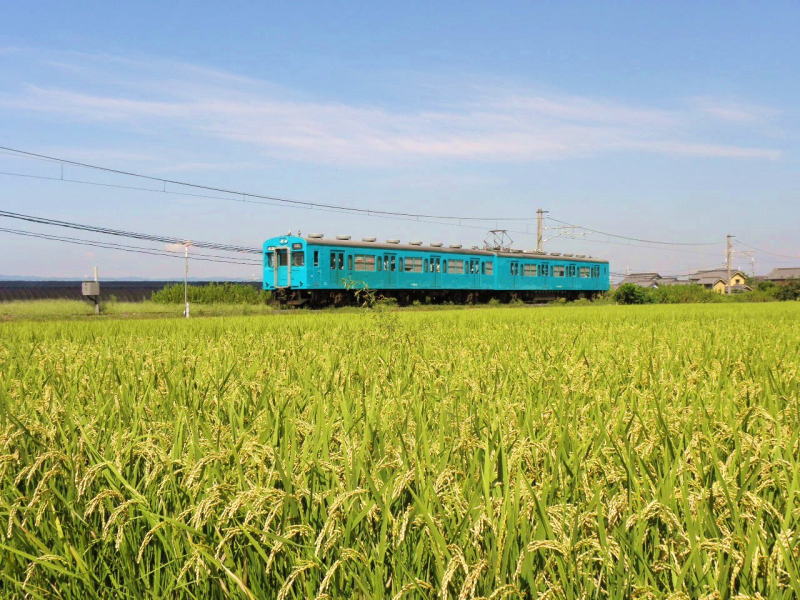 奈良から戻ってきた105系。