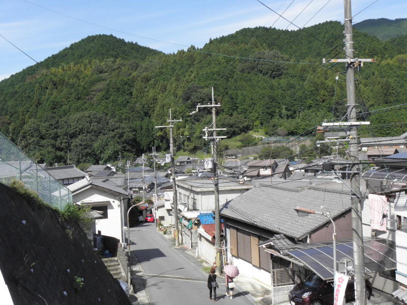 谷間の参道をあるく長谷寺の参拝客