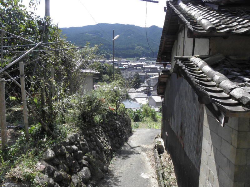 長谷寺駅と反対側の山の斜面
