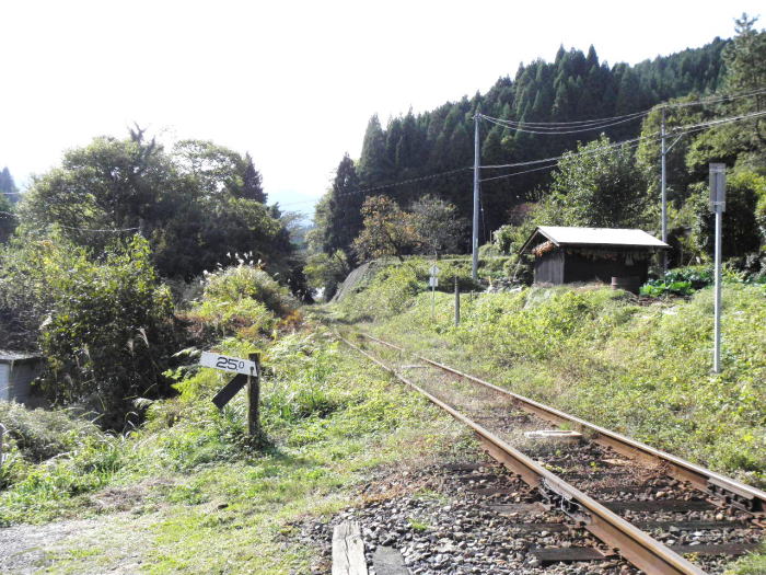 物見トンネルへ向かう線路