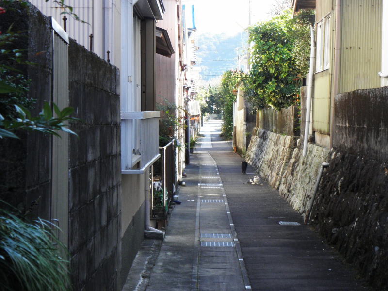 魚の匂いがしてネコが居る路地
