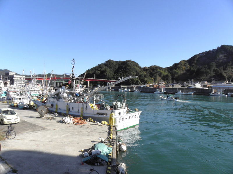 紀伊長島の漁港